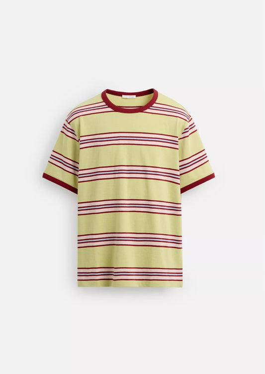 STRIPED CONTRAST T-SHIRT